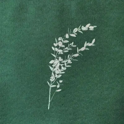 Grande Serviette en Intissé Eucalyptus - 40 x 40 cm