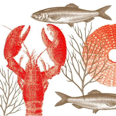 Grande Serviette en Intissé Lobster Rouge - 40 x 40 cm