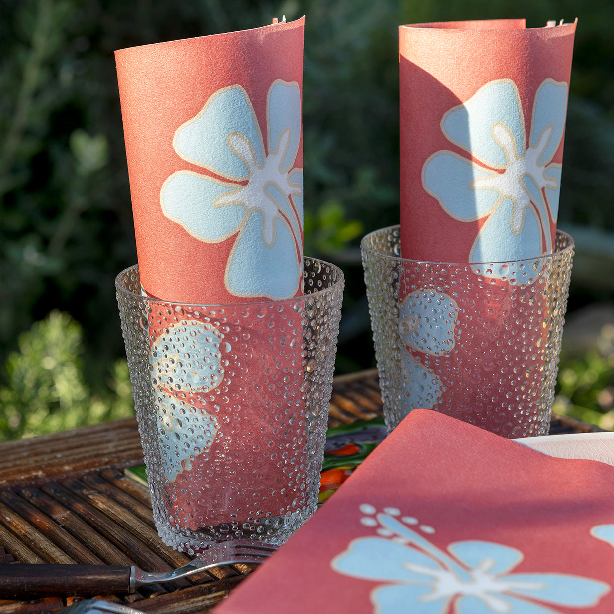 HIBISCUS CORAIL