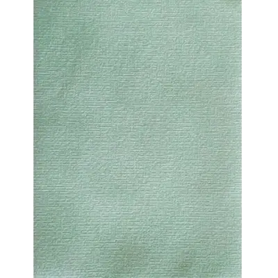 Nappe en Intissé Vert Sauge - 160 x 240 cm