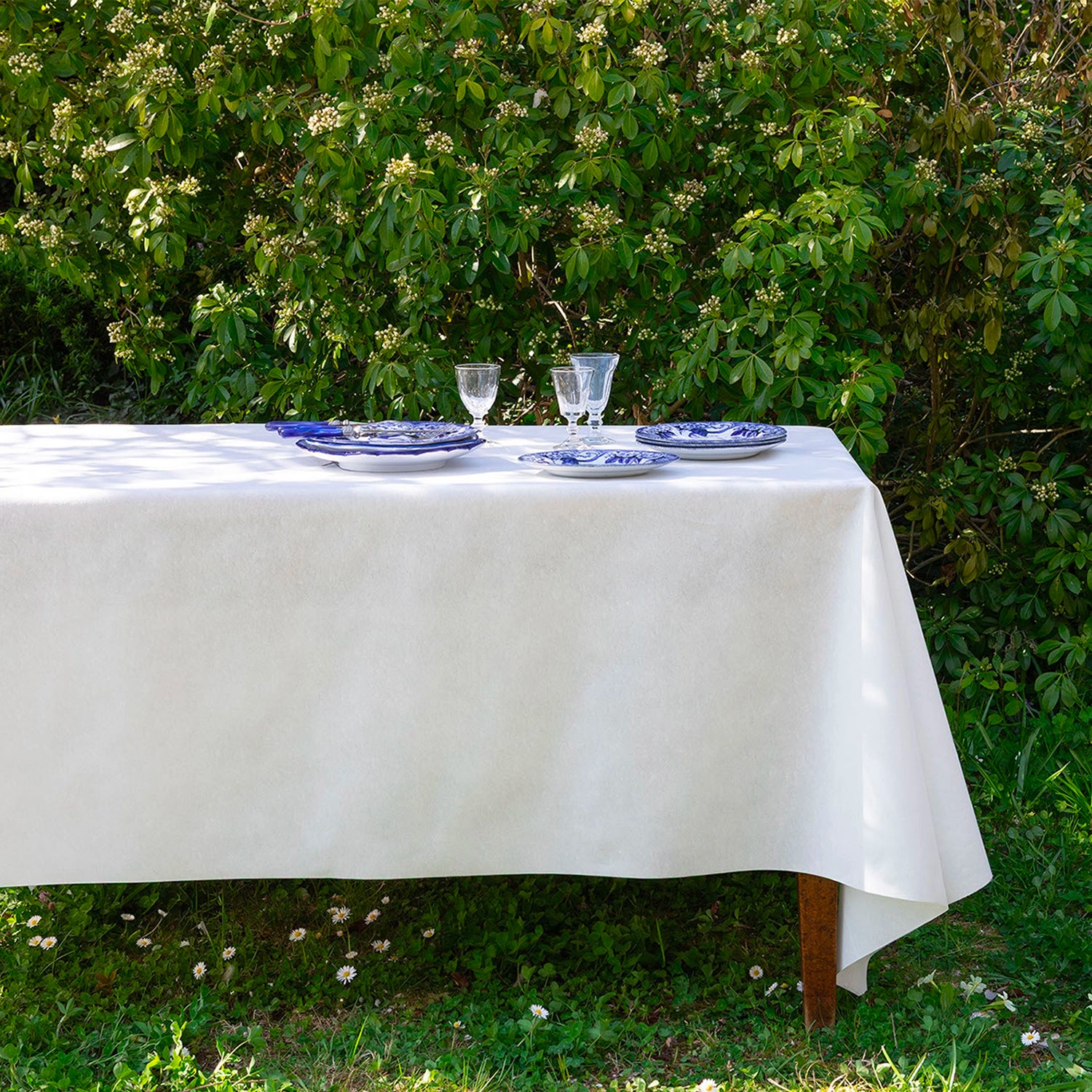 Grande Nappe Blanche en Rouleau Intissé