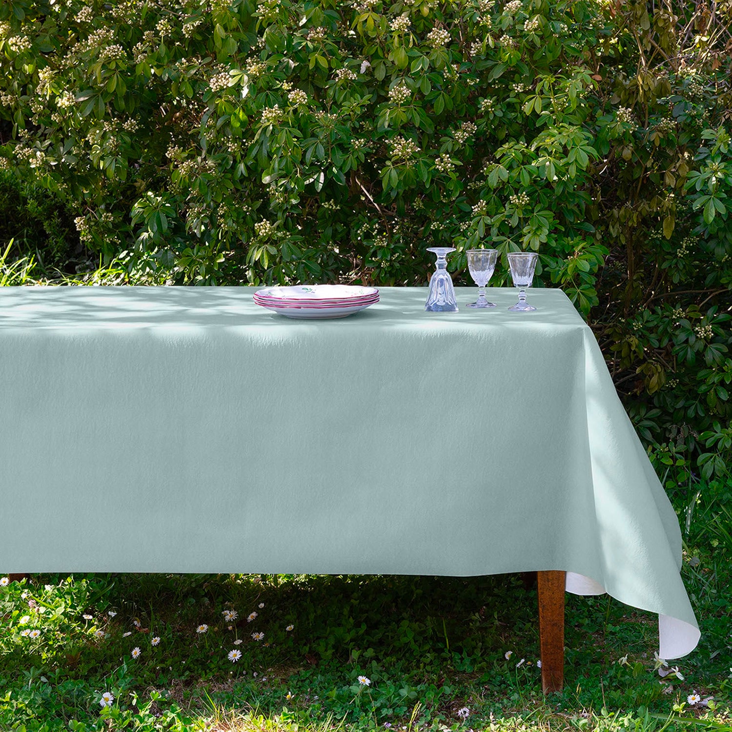 Grande Nappe Vert Sauge en Rouleau Intissé