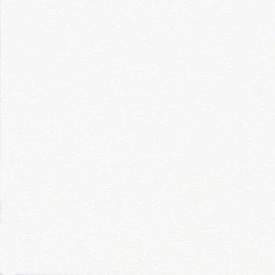 Grande Serviette compostable uni blanc 40x40 cm