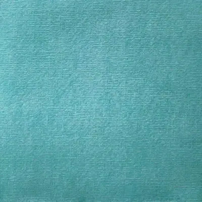 Grande Serviette en Intissé Bleu Gris - 40 x 40 cm Françoise Paviot
