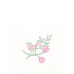 Serviette Cocktail en Intissé Pinson - 25 x 25 cm