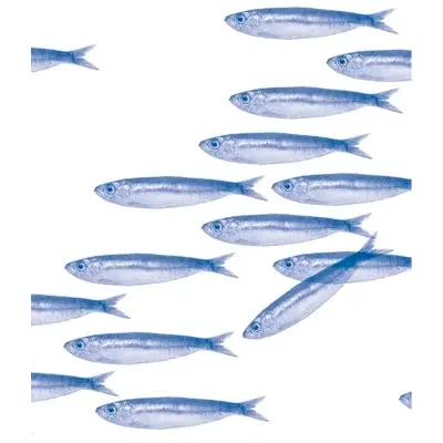 Serviettes en Rouleau en Intissé Sardine -  23,6 x 23,6 cm