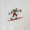 Nordique ski
