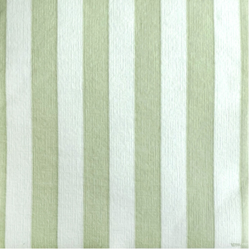 RAYURE OLIVE