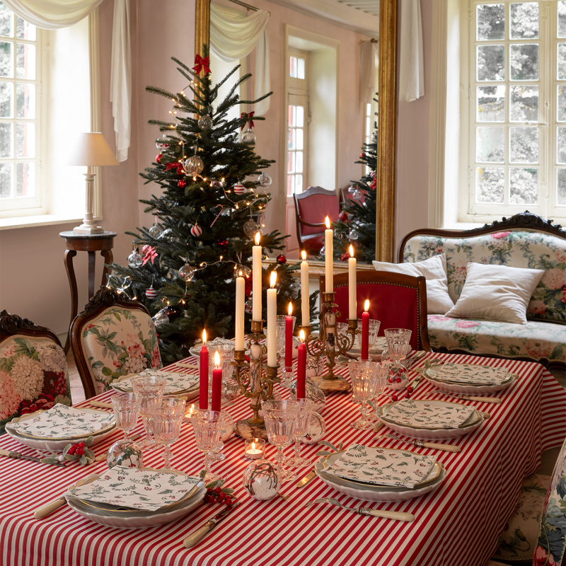 oiseaux_noel_1